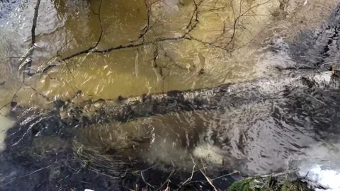 Meltwater collects in stream and forms whirlpool funnel in early spring Stock Footage 151708295