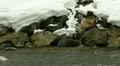 meltwater creek HD Footage