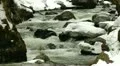 meltwater creek HD Footage