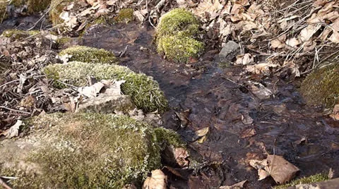 Meltwater Stock Footage 22706808