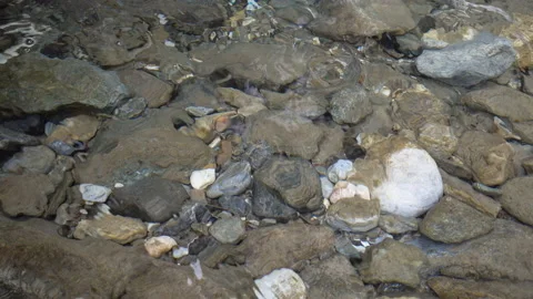 Meltwater In A River Stock Footage 205539024