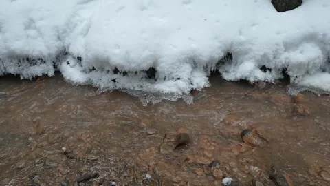 Meltwater in a winter forest in spring. A spring stream in the forest. A Video stock 329098991