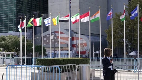Member state flags outside UN headquarters Video stock 346265208
