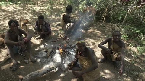 Members of the Hadzabe tribe are resting at a campsite in Tanzania Stock Footage 345340112