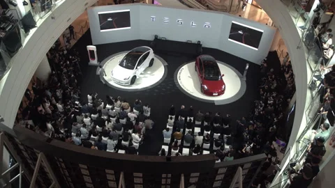 Members of media and guests surround the Tesla. Video stock 229552953