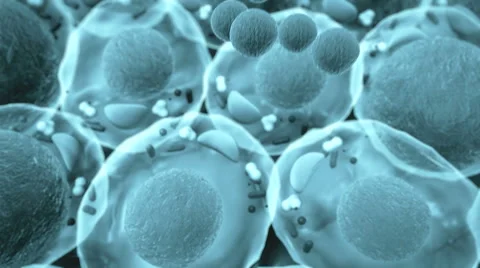 Membrane, cell structure Vidéo 50109139