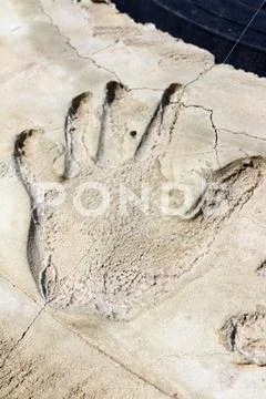Memorable handprint in the concrete Stock Photos