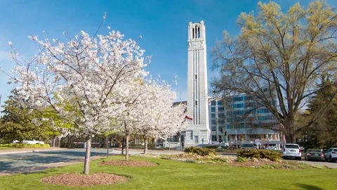 Memorial Bell Tower with Cherry Blossom Trees in Raleigh NC Video stock 69232180
