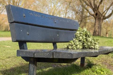 Memorial bench in the park Stock Photos