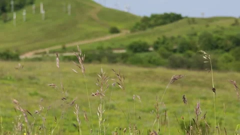 Memorial complex on Mount Kruty viewed from green fields 库存影片 315360222
