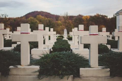 Memorial with crosses Stock Photos