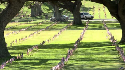 Memorial Day flags fluttering in the breeze zoom out Stock Footage 25541926