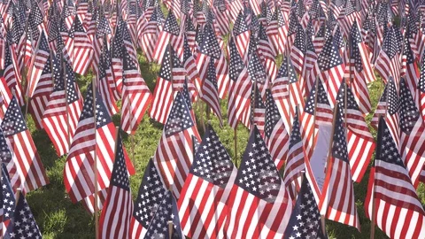 Memorial Day Flags 스톡 동영상 128666864