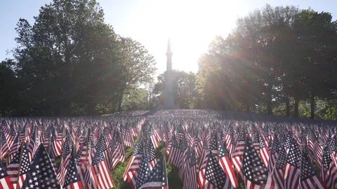 Memorial Day Flags Stock Footage