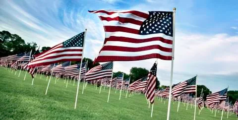 Memorial Day Flags. Stock Photos