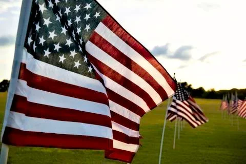 Memorial Day Flags. Stock Photos