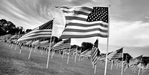 Memorial Day Flags. Stock Photos