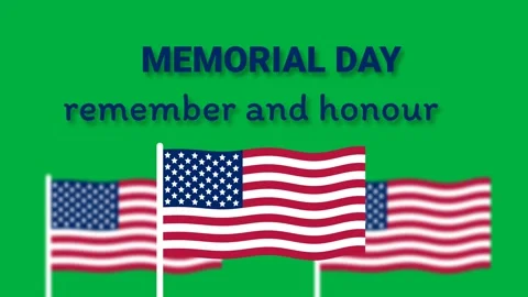 Memorial day Stock Footage 189415808