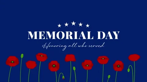 Memorial Day greeting animation with red poppies and stars on navy blue Video stock 333228175