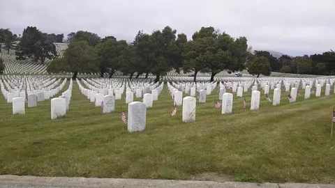 Memorial Day Observance Stock Footage 76059787