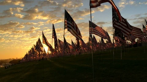 Memorial flag display at sunset to honor September 11th victims Stock Footage