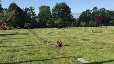 Memorial graves flags driveby Stock Footage 76144432