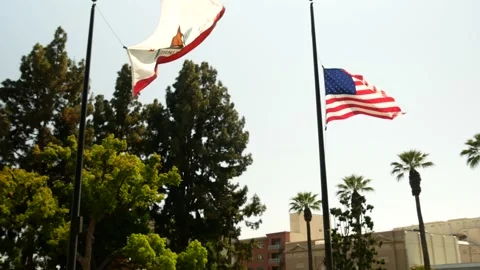 Memorial Park Flags Veterans Pasadena California USA Video stock 155926027