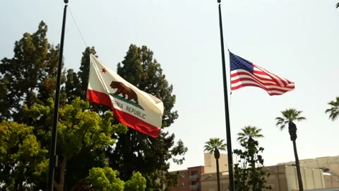 Memorial Park Flags Veterans Pasadena California USA Stock Footage 155927577