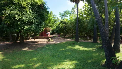 Memorial tree at Killing Fields in Phnom Penh, Cambodia Stock Footage 310881050