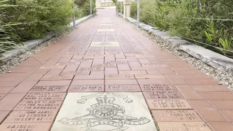 Memorial walk, Manly, Australia Stock Footage 302545704