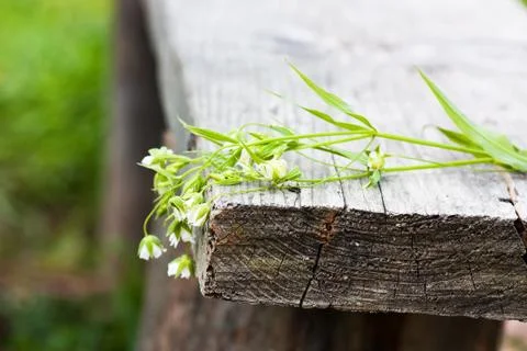 Memories Stock Photos