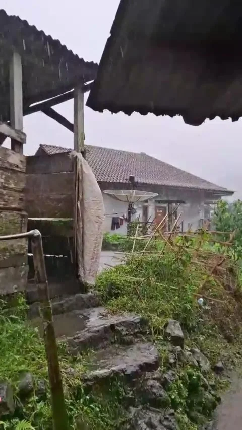 Memories of rainy days Stock Footage 308213610