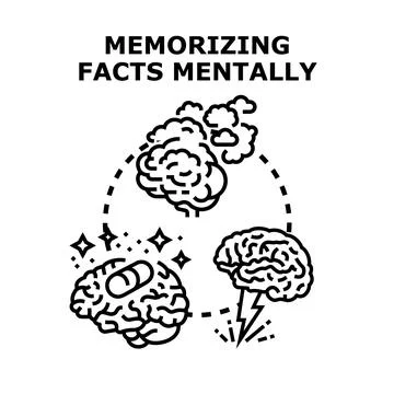 Memorizing facts mentally, memory process, mind thinking イラスト素材