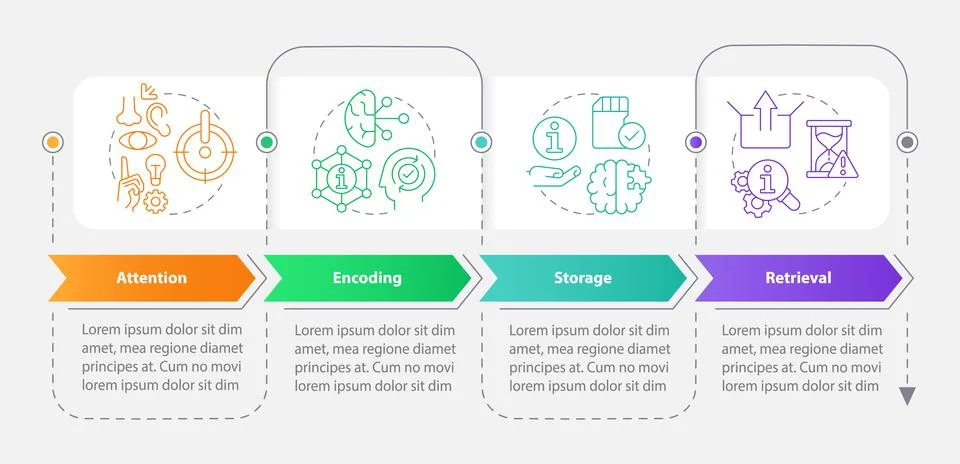 Memorizing information process rectangle infographic template 스톡 일러스트