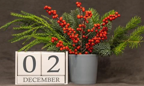 Memory and important date December 2, desk calendar - winter season. Stock Photos