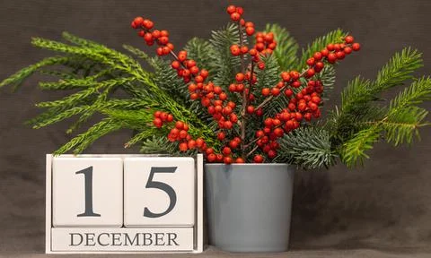 Memory and important date December 15, desk calendar - winter season. 写真素材