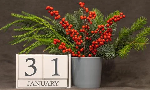 Memory and important date January 31, desk calendar - winter season. Stock Photos