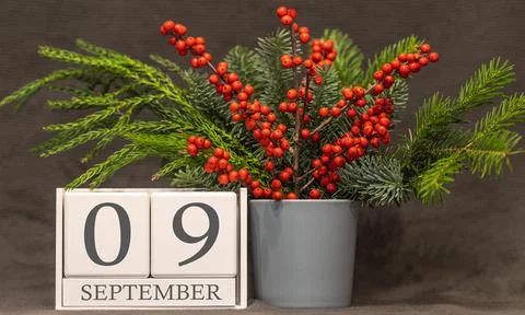 Memory and important date September 9, desk calendar - autumn season. Stock Photos