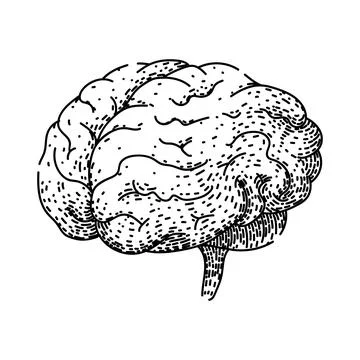 Memory brain sketch hand drawn vector Illustrazione stock