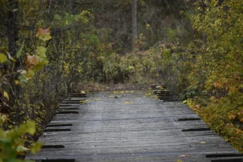 Memory bridge Foto stock