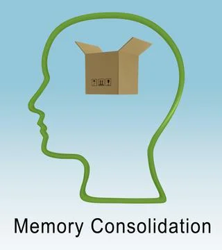 Memory Consolidation concept Stock Illustration