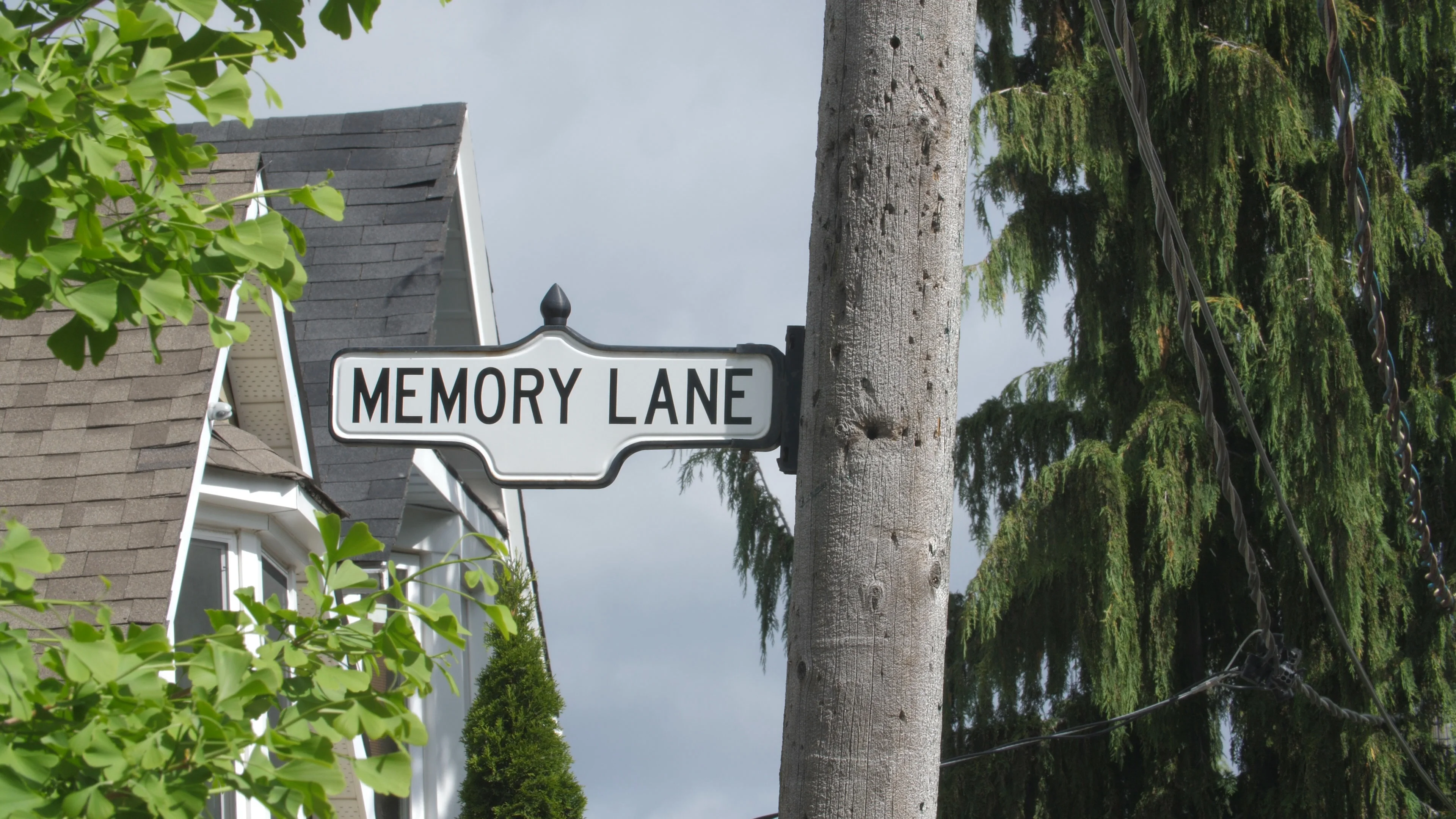 Top more than 136 memory lane cakes ltd best kidsdream.edu.vn