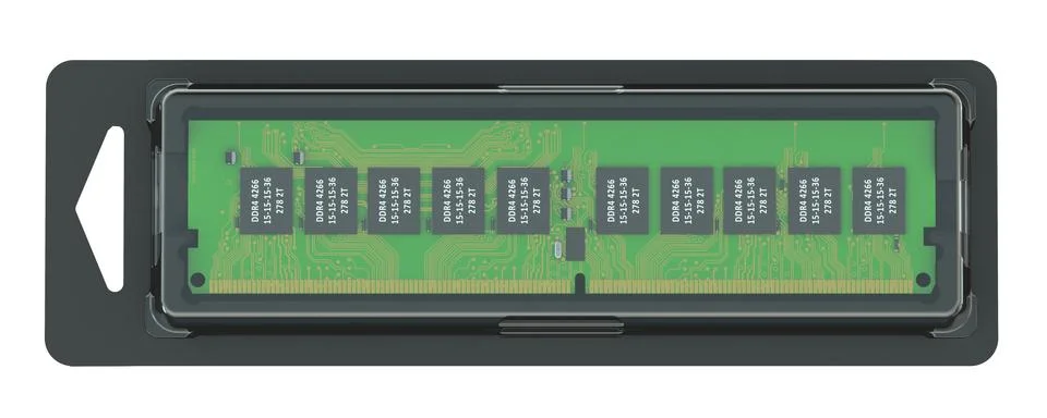 Memory module in the pack Stock Illustration
