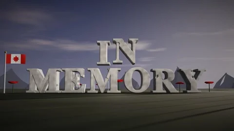 In Memory Pale Granite 3D Letters in a Field of Poppies with Canadian Flags at Stock Footage 343371432