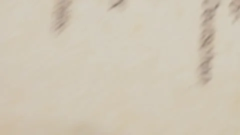 A Memory in Print - Exploring Words, Stories, and Journalism Across Pages Stock Footage 267659591