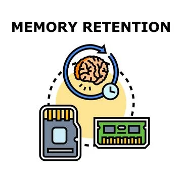 Memory retention process with human brain and digital storage Stock Illustration