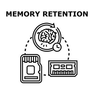 Memory retention process with human brain and digital storage Stock Illustration