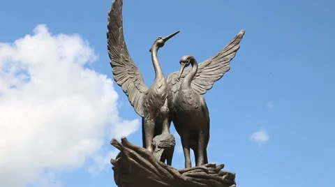 The memory of the swans Stock Footage 61581619