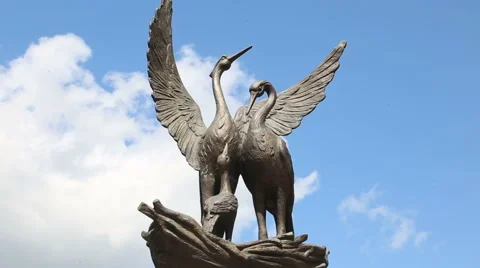 The memory of the swans Stock Footage 61581641