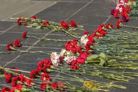 Memory of the victims, tragedy. Stock Photos